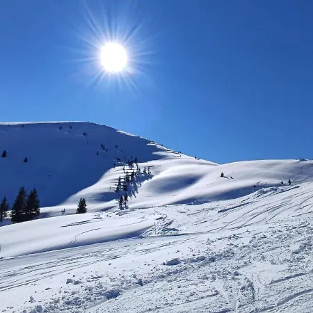 아파트 Wildschoenau By Fewo-plan Wild444